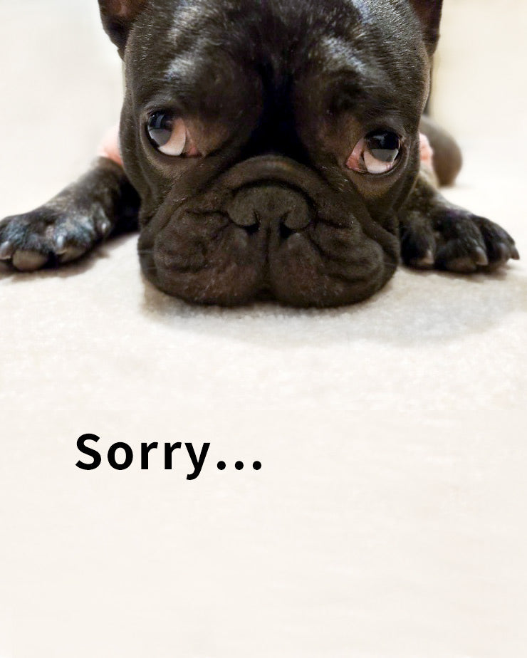 まもなく価格改定の波がやってきます涙。