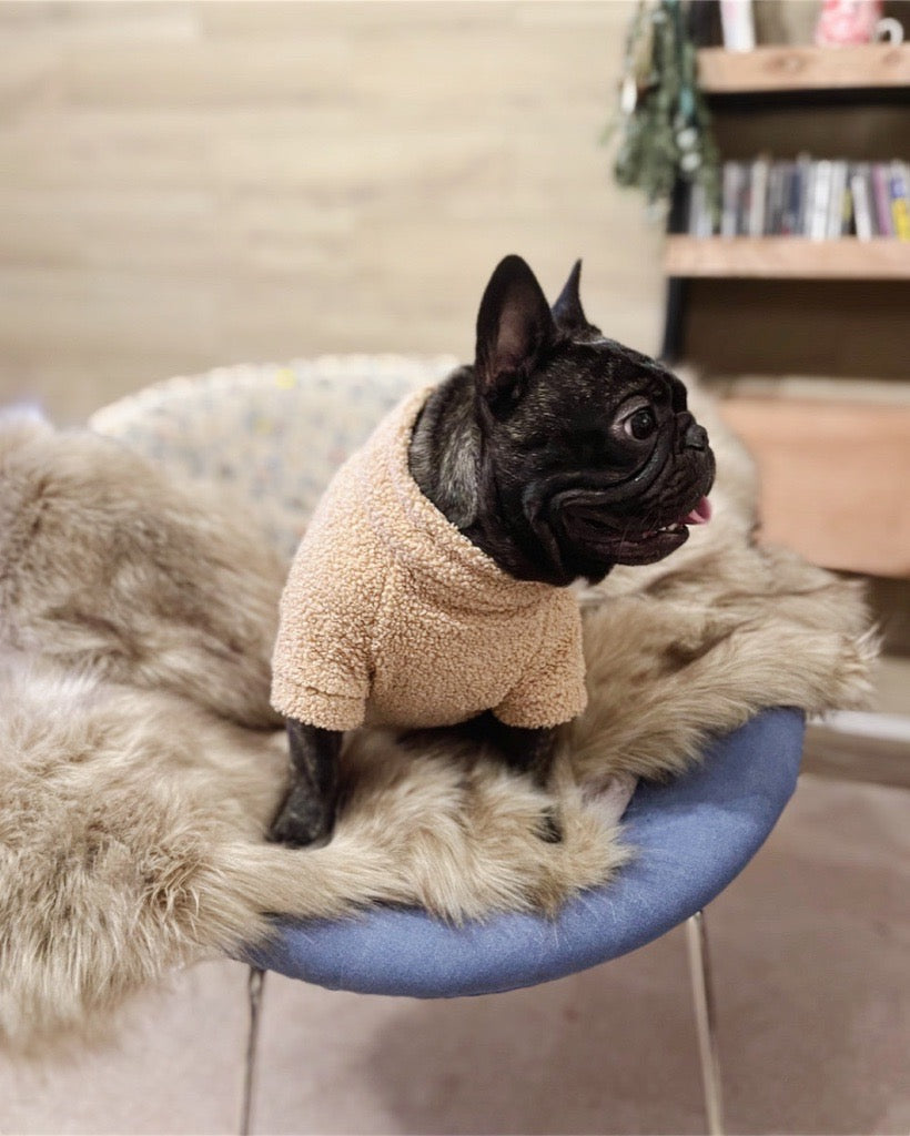 冬のインテリアを楽しむブランケット