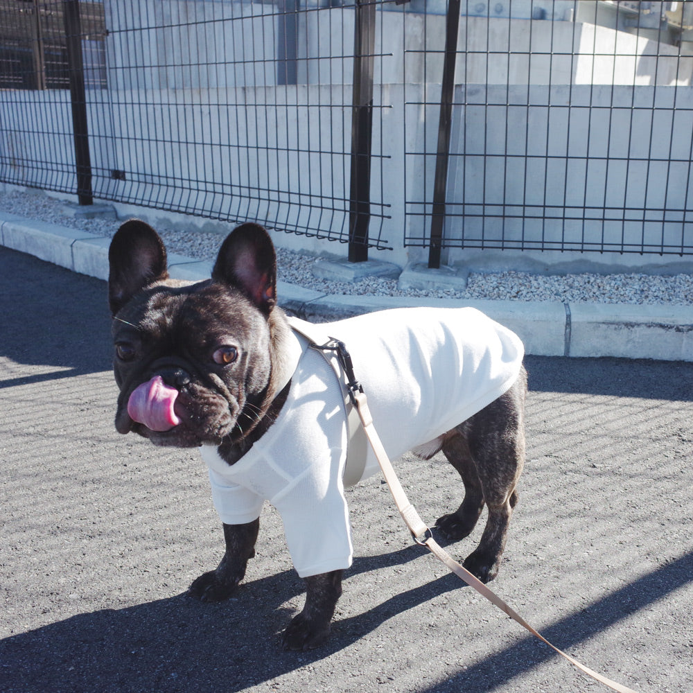 シンプルTシャツの底力