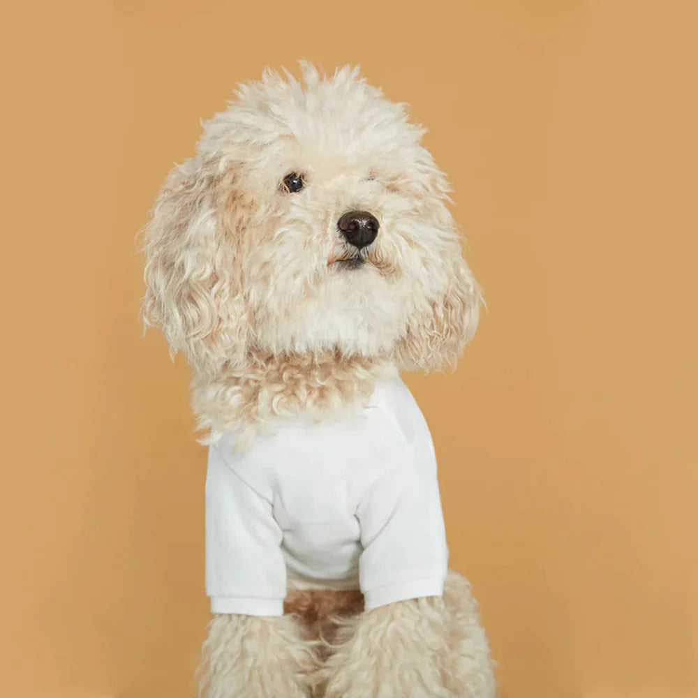 わんこにお洋服を着せる理由。