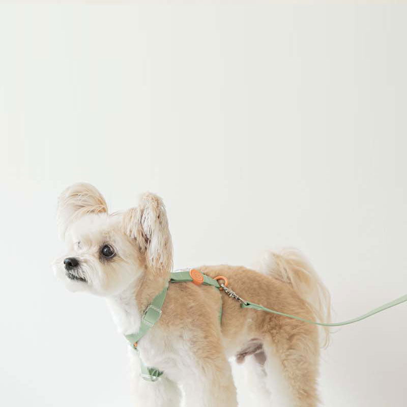 ハッピーが詰まった韓国ブランド「BITE ME」