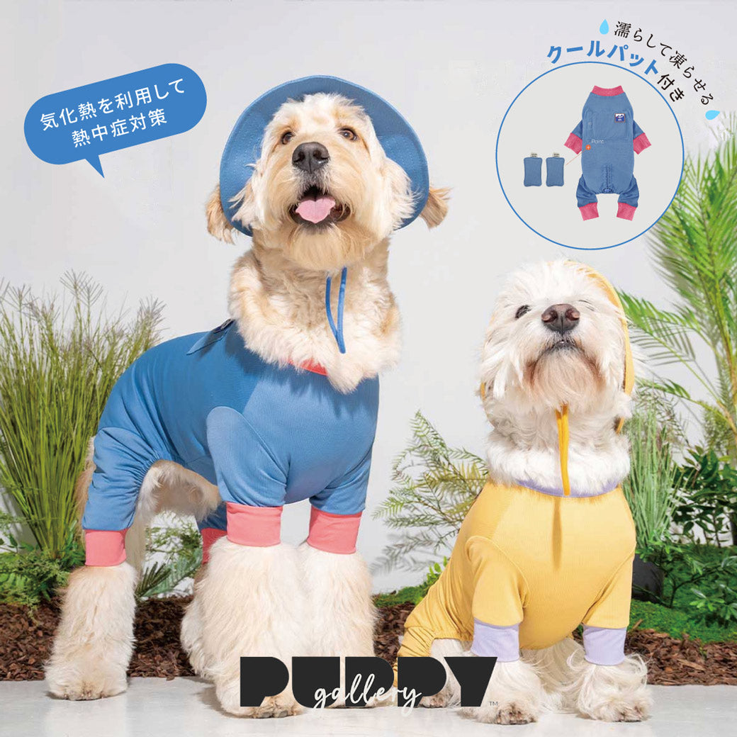 愛犬ちゃんの暑さ対策