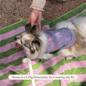 ストライプ タンクトップ / Gone Hiking（ライトブルー×レッド）