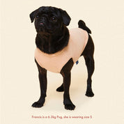 タオル地 タンクトップ / ベージュ