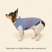 ストライプ タンクトップ / Gone Hiking（ライトブルー×レッド）