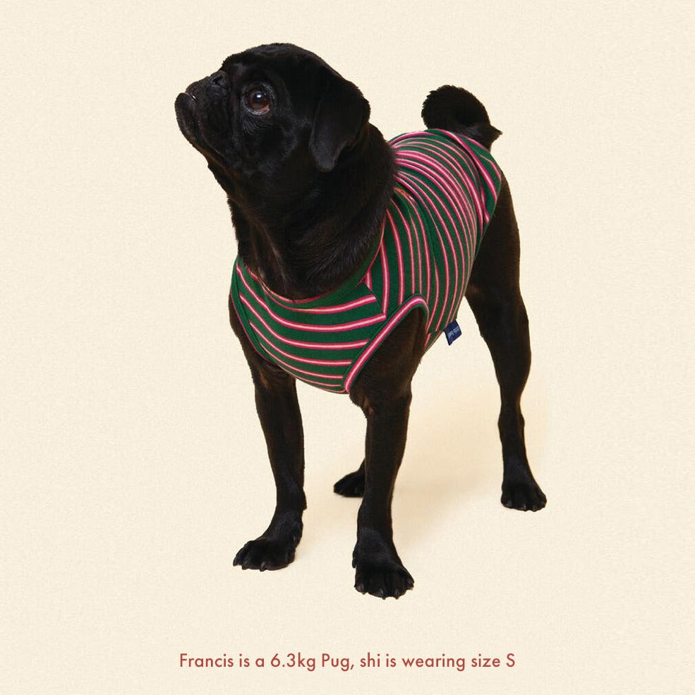 ストライプ タンクトップ / jalapeno-sleeveless-shirt（グリーン×ピンク）