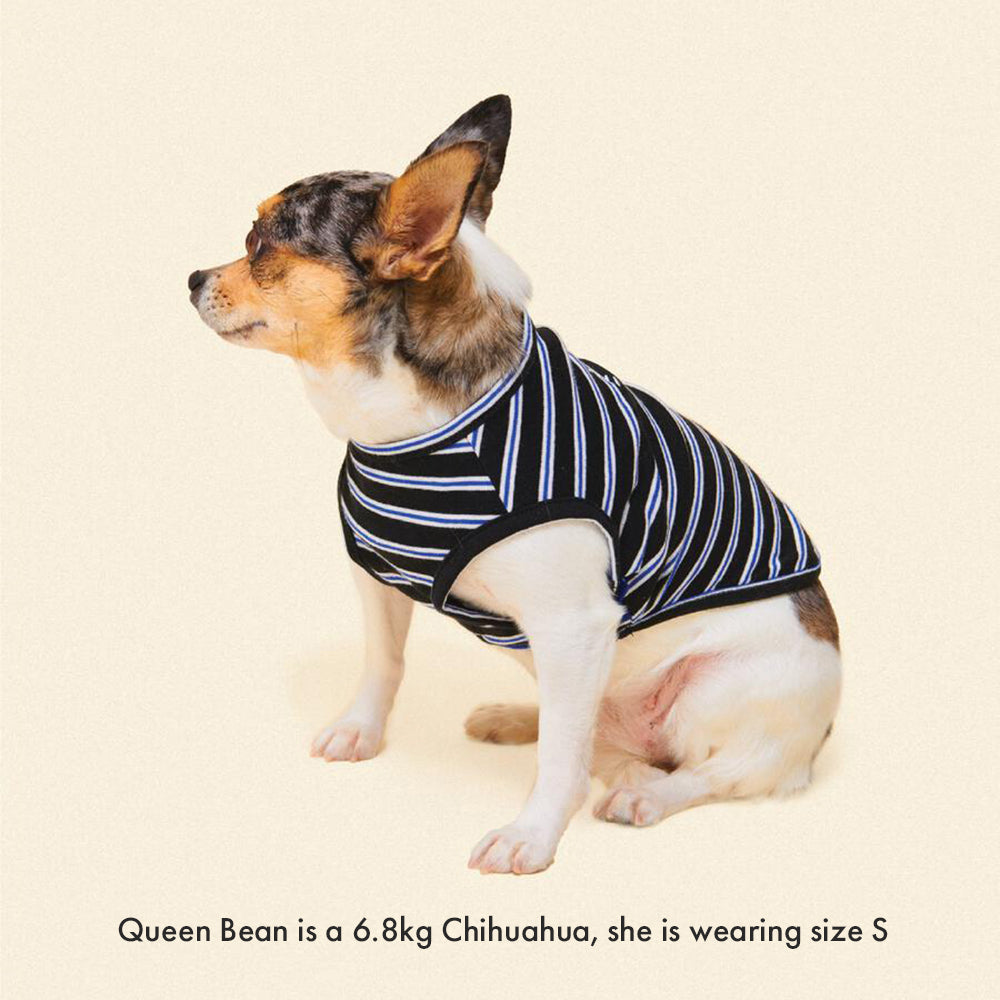 ストライプ タンクトップ / Main Squeeze（ブラック×ブルー）