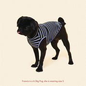 ストライプ タンクトップ / Main Squeeze（ブラック×ブルー）