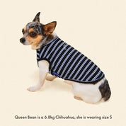 ストライプ タンクトップ / Main Squeeze（ブラック×ブルー）