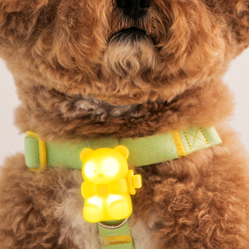  JELLYBEAR LED