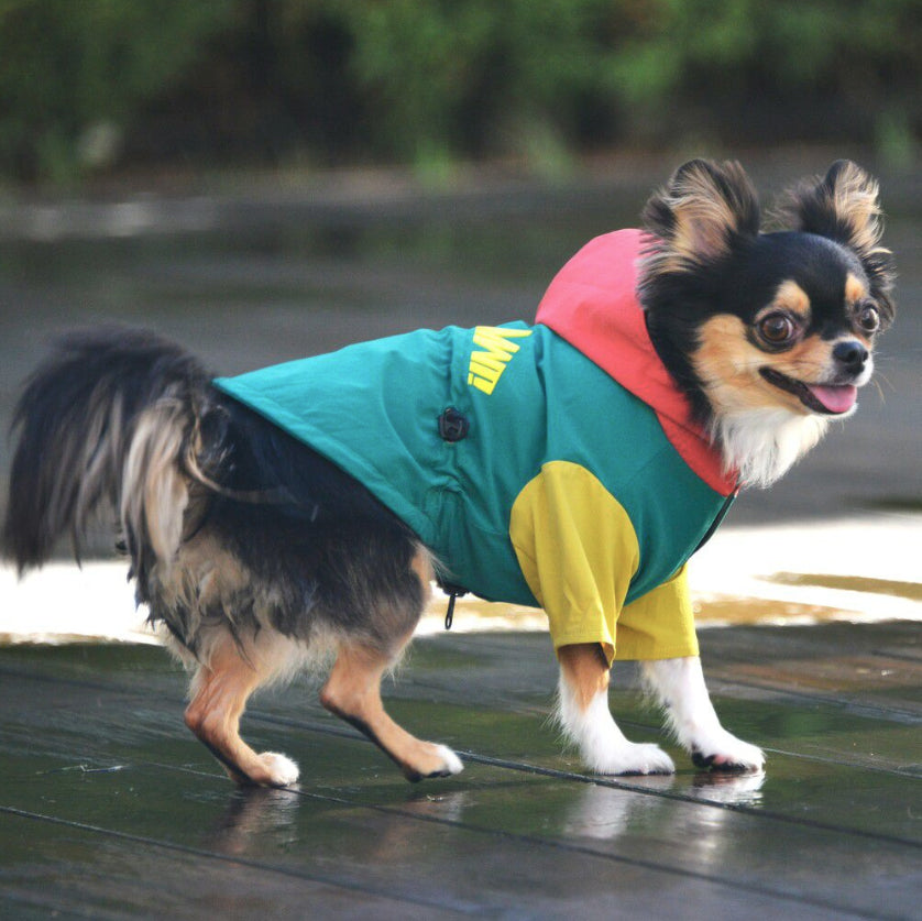 ウィンド ソフト シェル グリーン / WIND SOFT SHELL