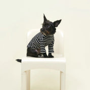 【2025新作】ストライプ リブ プルオーバー Café in Paris / Striped sweatshirt
