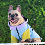 ウィンド ソフト シェル ブルー / WIND SOFT SHELL