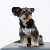 UPF50＋ クールフリル タンクトップ ベージュ / Cool Frill T Beige