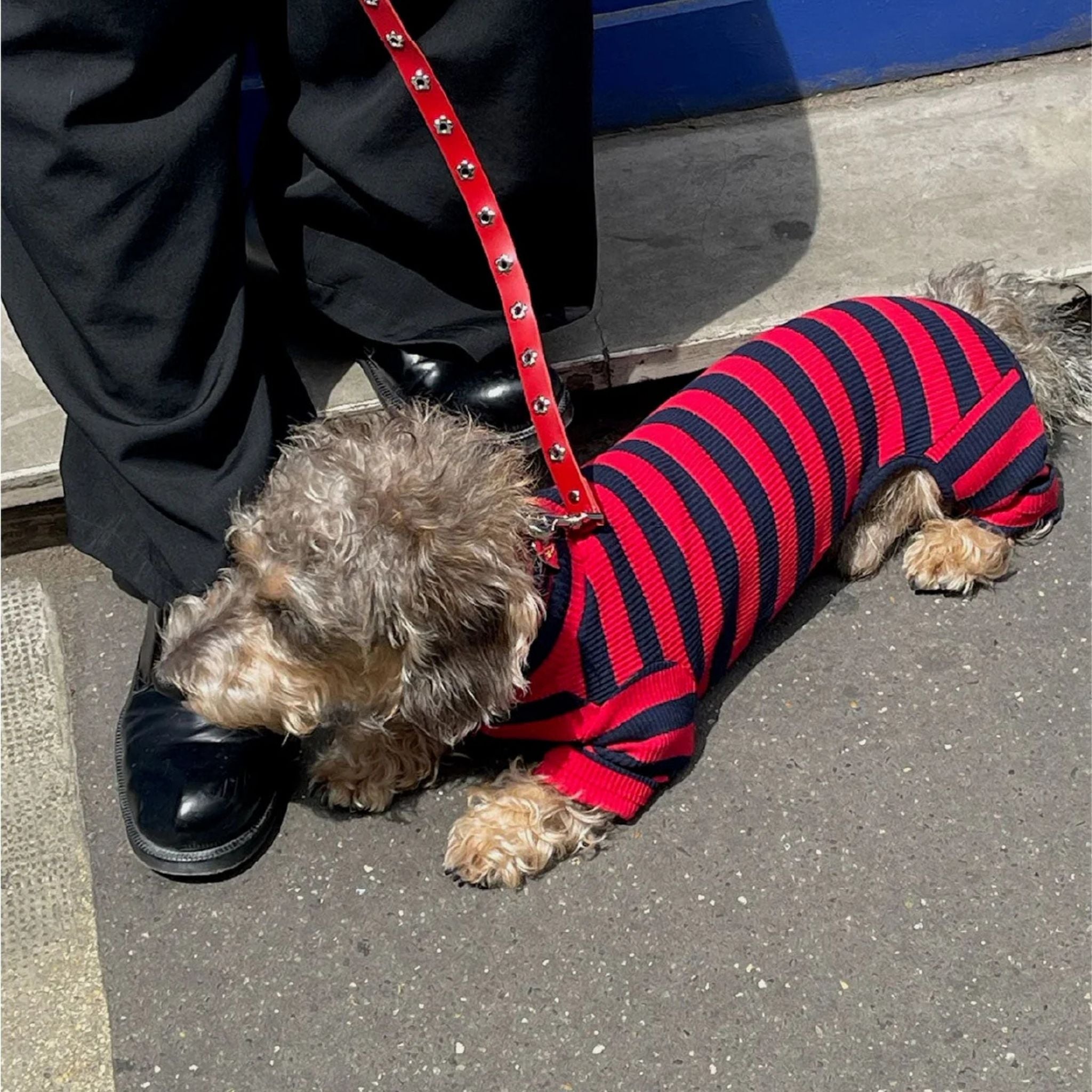 【2025年新作】ストライプ リブ ロンパース Ivy League / Striped Onesies