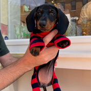 【2025年新作】ストライプ リブ ロンパース Ivy League / Striped Onesies