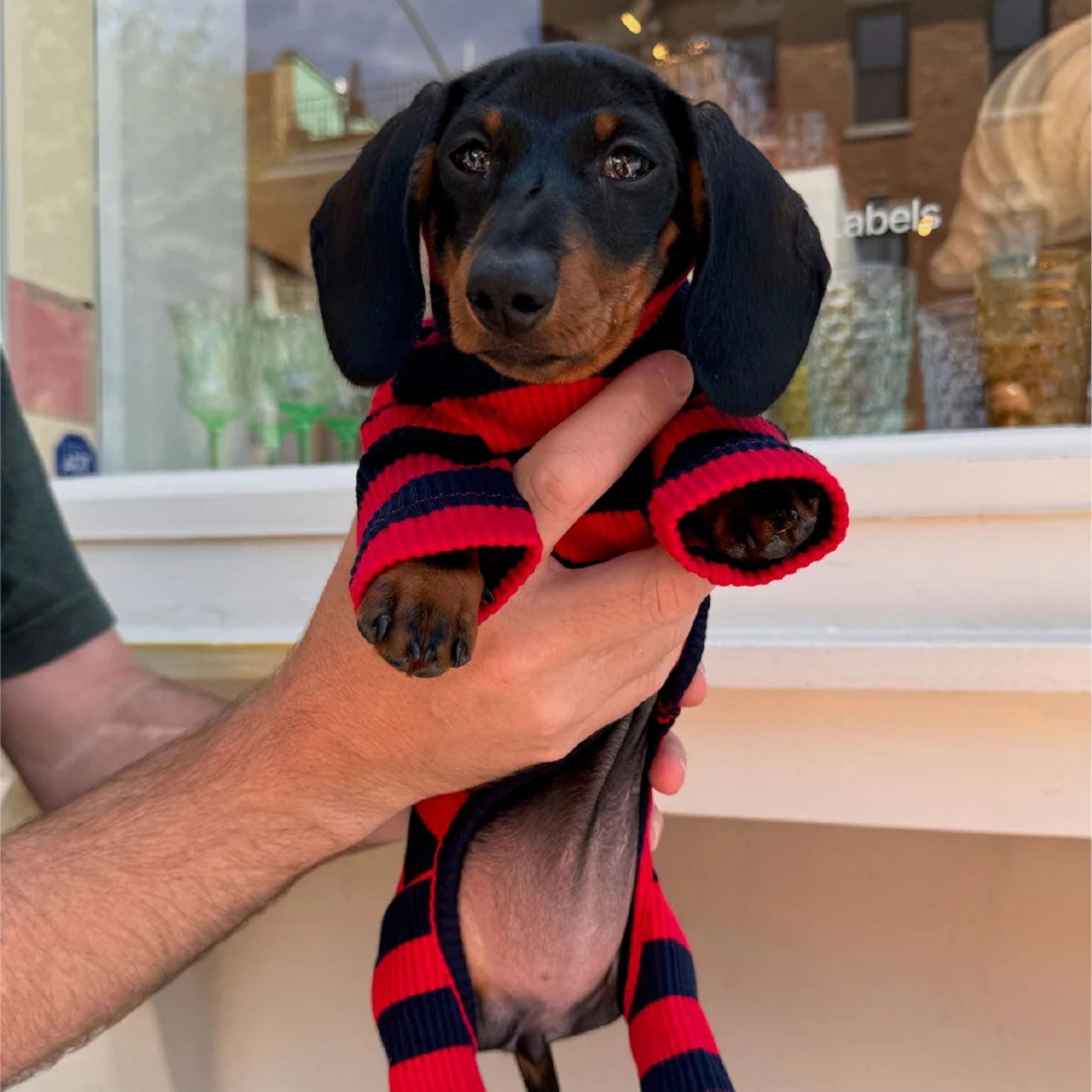 【2025年新作】ストライプ リブ ロンパース Ivy League / Striped Onesies