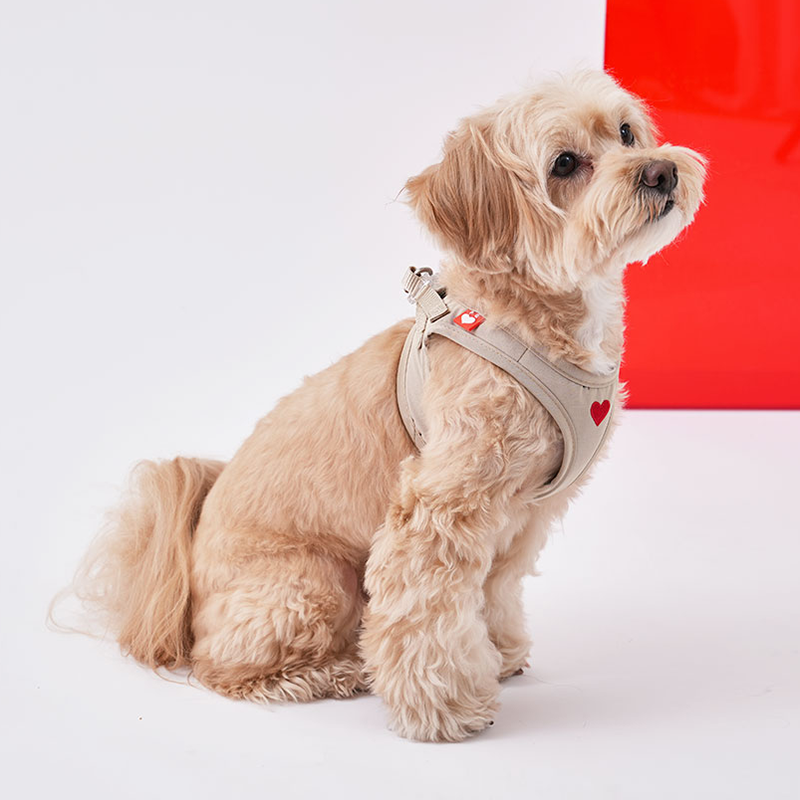 ウォータープルーフ ハート ハーネス ベージュ/ Waterproof Heart Harness