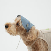 サンキャップ ブルー / Jelly Bear Cooling Sun Cap