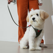 ウォータープルーフ ハート ハーネス カーキ / Waterproof Heart Harness