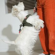 ウォータープルーフ ハート ハーネス カーキ / Waterproof Heart Harness