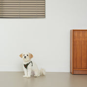 ウォータープルーフ ハート ハーネス カーキ / Waterproof Heart Harness