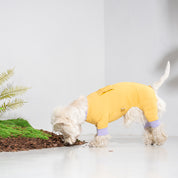 サマーロンパース マスタードイエロー / Cooling all-in-one