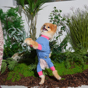 サマーロンパース ブルー / Cooling all-in-one