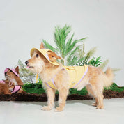 サマータンクトップ NEWマスタードイエロー/ Cooling Tank Top