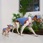 サマータンクトップ NEWブルー/ Cooling Tank Top