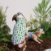 ジャンピング ベア サマータンクトップ ラベンダーパープル / JUMPING BEAR Cooling Tank Top