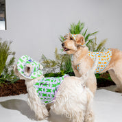 ジャンピング ベア サマータンクトップ ラベンダーパープル / JUMPING BEAR Cooling Tank Top