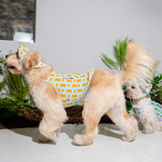 ジャンピング ベア サマータンクトップ ミントブルー / JUMPING BEAR Cooling Tank Top