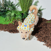 ジャンピング ベア サマータンクトップ ミントブルー / JUMPING BEAR Cooling Tank Top