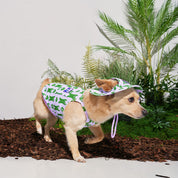 ジャンピング ベア サマーハット ラベンダーパープル / JUMPING BEAR Cooling Bucket Hat