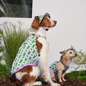 ジャンピング ベア サマーハット ラベンダーパープル / JUMPING BEAR Cooling Bucket Hat