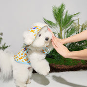 ジャンピング ベア サマーハット ミントブルー / JUMPING BEAR Cooling Bucket Hat