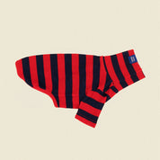 【2025新作】ストライプ リブ プルオーバー Ivy League / Striped sweatshirt