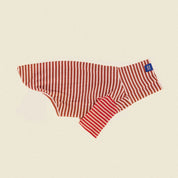 【2025新作】ストライプ リブ プルオーバー Earth and Fire / Striped sweatshirt