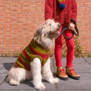ストライプセーター / Red Striped Dog Sweater