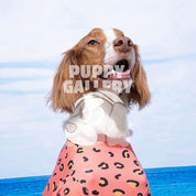 【2025新色】サマーロンパース パンサー コーラル / Little panther cooling jumpsuit