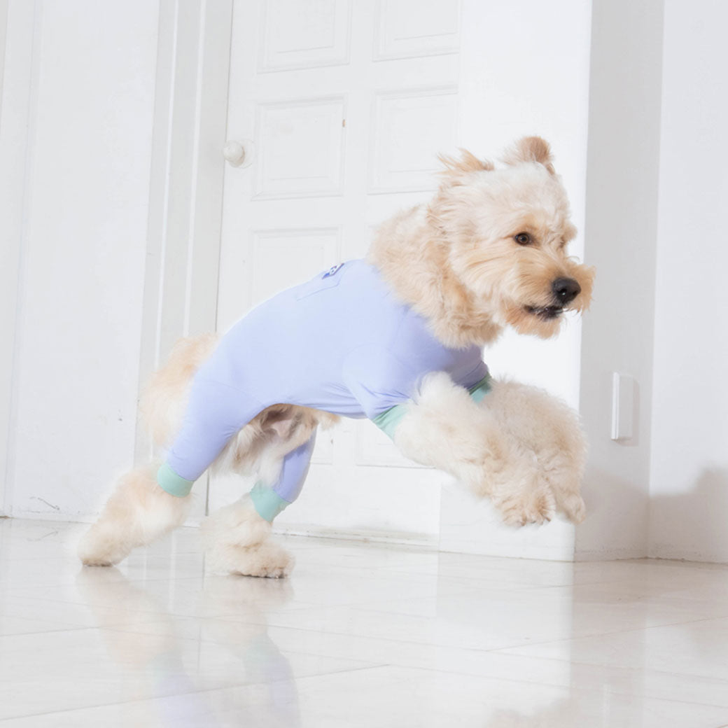 【2025新色】サマーロンパース ラベンダー / outside + jumpsuit