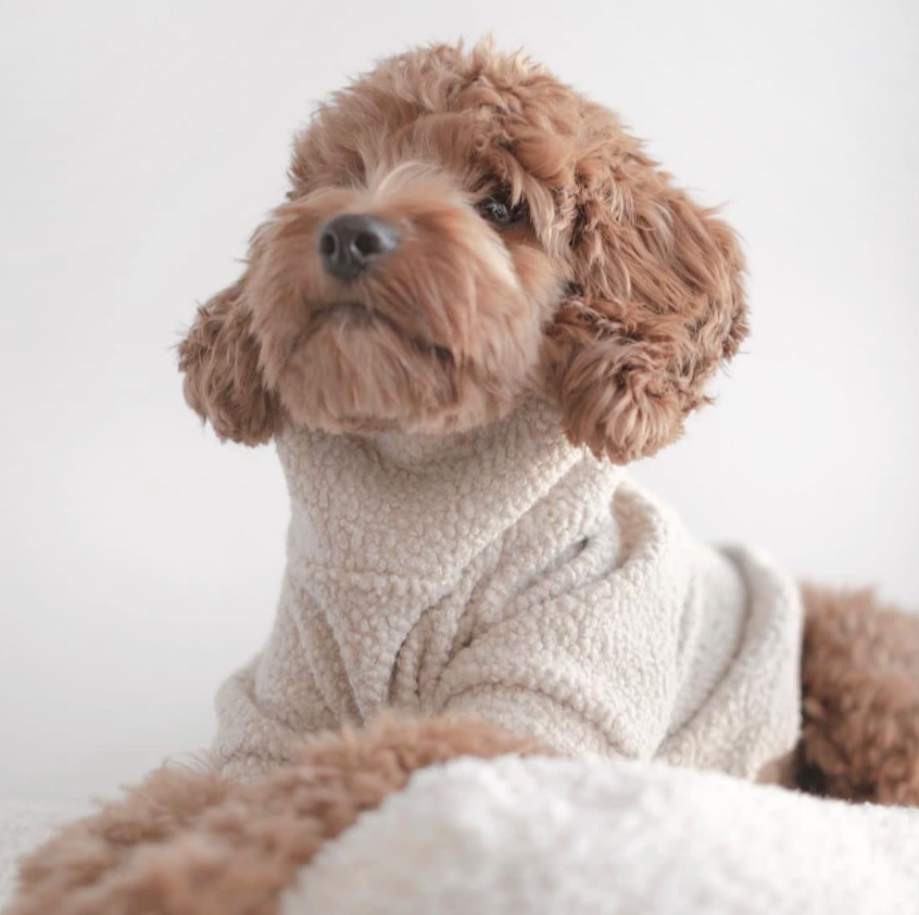 テディベアプルオーバー ホワイト / Teddy Jumper