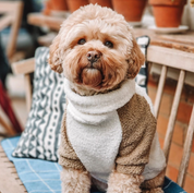 テディベアプルオーバー トープ×ホワイト / Teddy Jumper