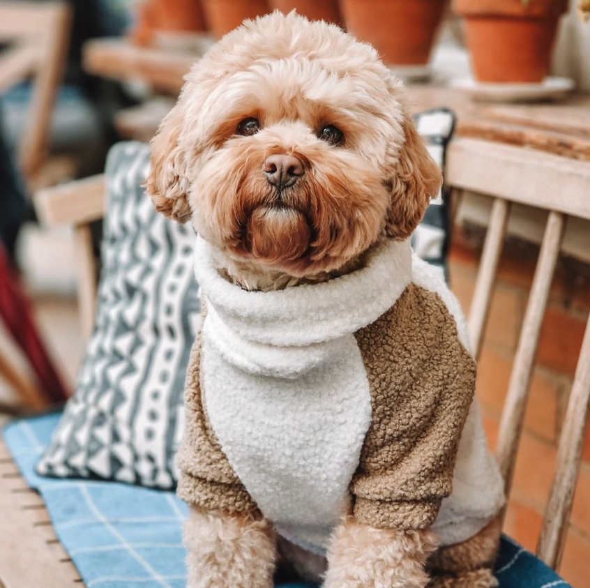 テディベアプルオーバー トープ×ホワイト / Teddy Jumper