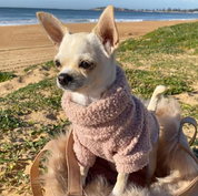 テディベアプルオーバー ローズ / Teddy Jumper