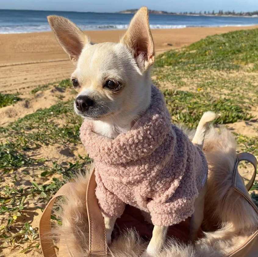 テディベアプルオーバー ローズ / Teddy Jumper