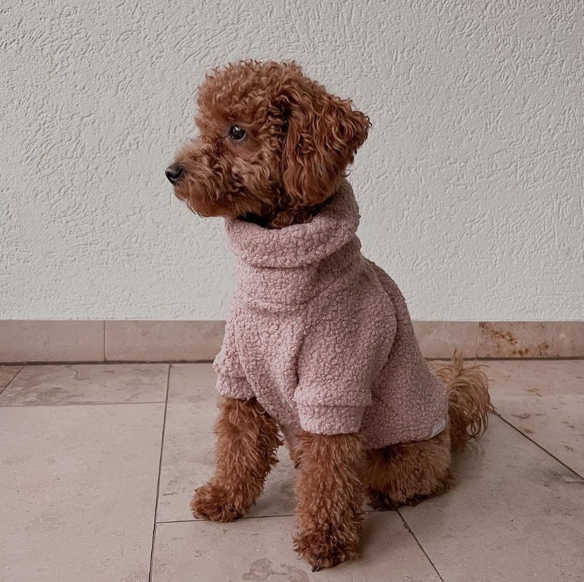 テディベアプルオーバー ローズ / Teddy Jumper