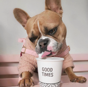 テディベアプルオーバー ローズ / Teddy Jumper