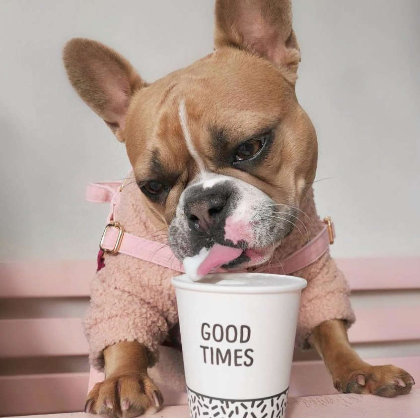 テディベアプルオーバー ローズ / Teddy Jumper